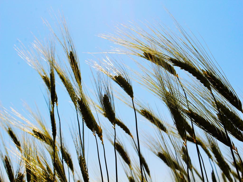 Willa Agri Rio Rio Salso Di Tavullia Zewnętrze zdjęcie